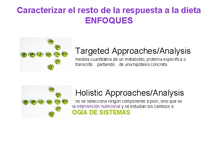 Caracterizar el resto de la respuesta a la dieta ENFOQUES Targeted Approaches/Analysis medida cuantitativa