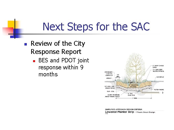 Next Steps for the SAC n Review of the City Response Report n BES