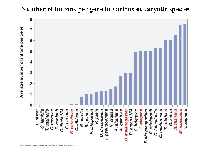 Number of introns per gene in various eukaryotic species Number of introns per gene in various eukaryotic species