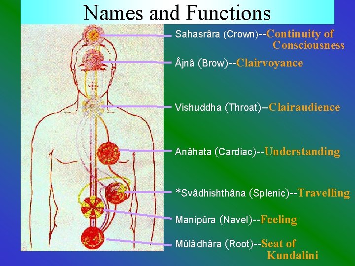 Names and Functions Sahasrâra (Crown)--Continuity of Consciousness jnâ (Brow)--Clairvoyance Vishuddha (Throat)--Clairaudience Anâhata (Cardiac)--Understanding *Svâdhishthâna