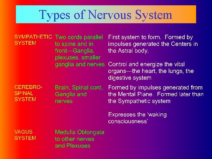 Types of Nervous System 