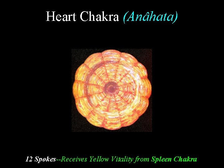 Heart Chakra (Anâhata) 12 Spokes--Receives Yellow Vitality from Spleen Chakra 