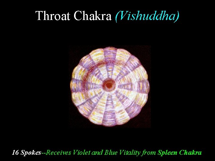 Throat Chakra (Vishuddha) 16 Spokes--Receives Violet and Blue Vitality from Spleen Chakra 