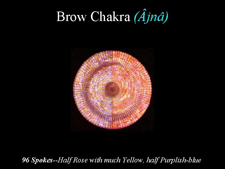 Brow Chakra ( jnâ) 96 Spokes--Half Rose with much Yellow, half Purplish-blue 