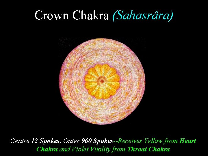 Crown Chakra (Sahasrâra) Centre 12 Spokes, Outer 960 Spokes--Receives Yellow from Heart Chakra and