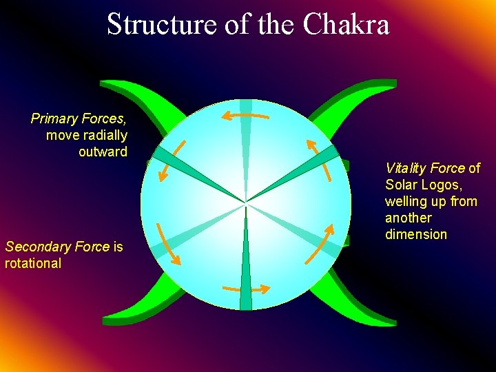 Structure of the Chakra Primary Forces, move radially outward Secondary Force is rotational Vitality