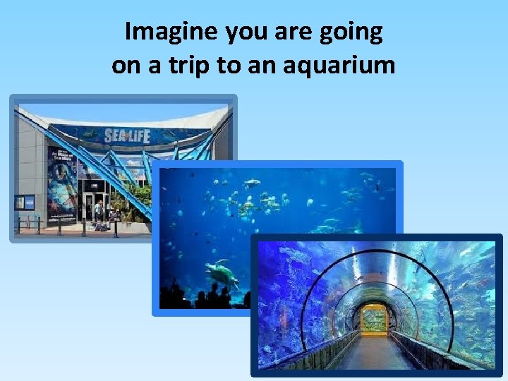 Imagine you are going on a trip to an aquarium 