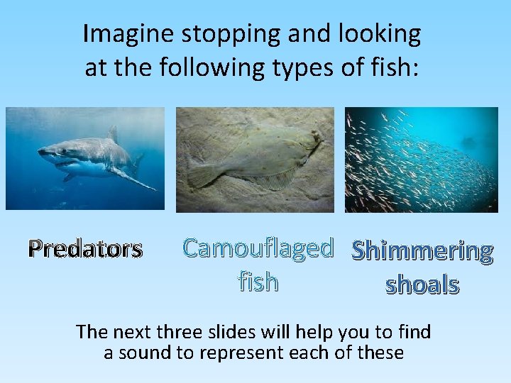Imagine stopping and looking at the following types of fish: Predators Camouflaged Shimmering fish