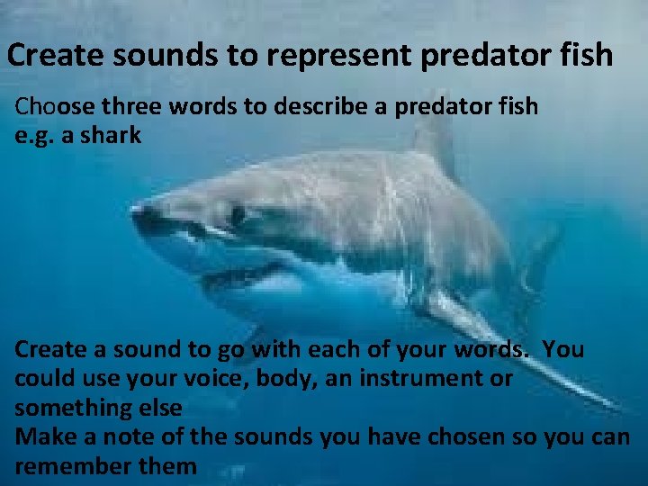 Create sounds to represent predator fish Choose three words to describe a predator fish