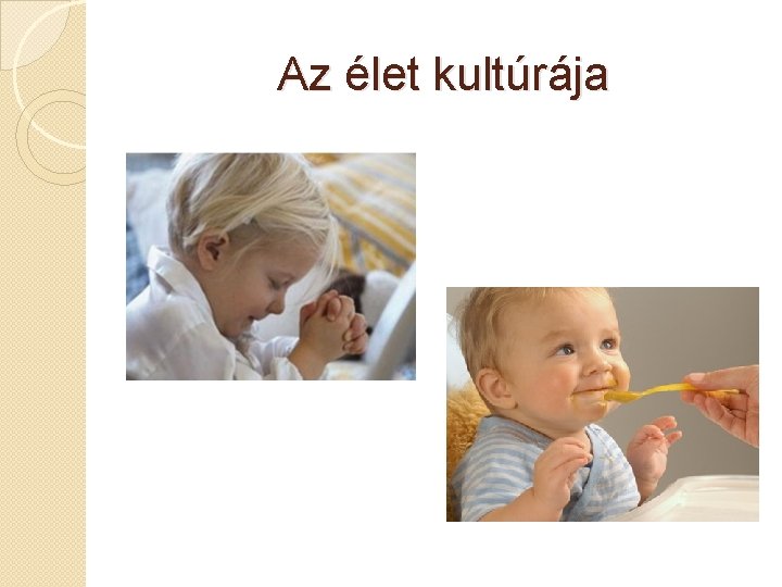 Az élet kultúrája 