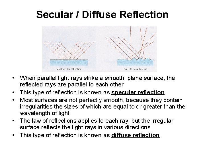 Secular / Diffuse Reflection • When parallel light rays strike a smooth, plane surface,