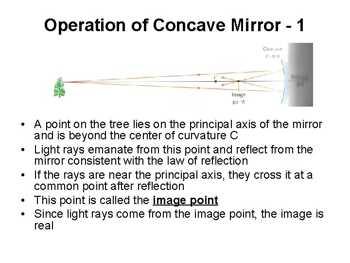 Operation of Concave Mirror - 1 • A point on the tree lies on