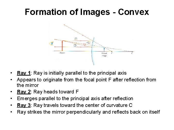 Formation of Images - Convex • Ray 1: Ray is initially parallel to the