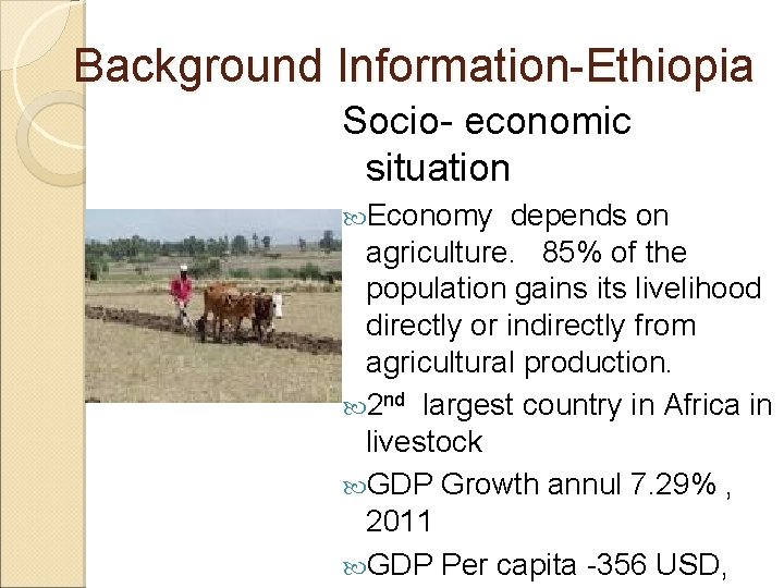 Background Information-Ethiopia Socio- economic situation Economy depends on agriculture. 85% of the population gains