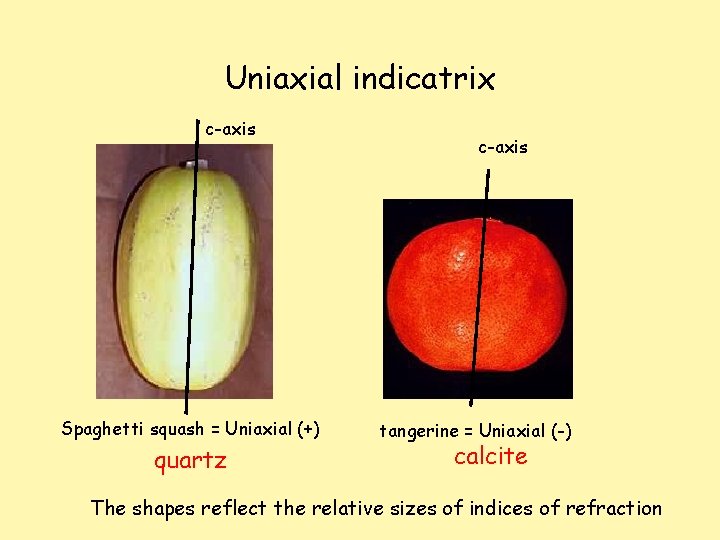 Uniaxial indicatrix c-axis Spaghetti squash = Uniaxial (+) quartz c-axis tangerine = Uniaxial (-)