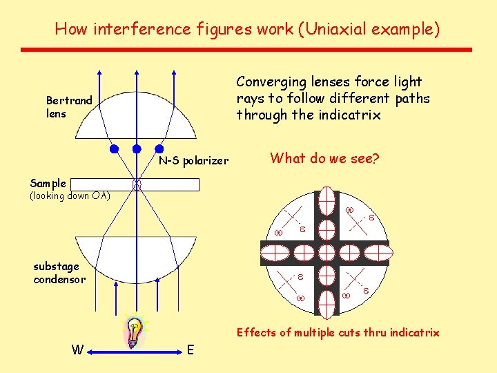 How interference figures work (Uniaxial example) Converging lenses force light rays to follow different