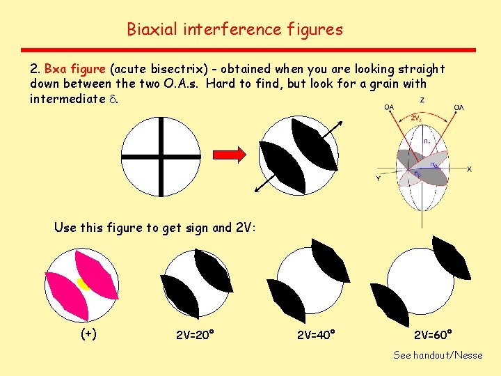 Biaxial interference figures 2. Bxa figure (acute bisectrix) - obtained when you are looking