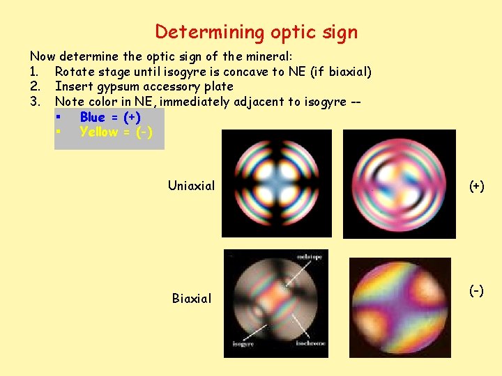 Determining optic sign Now determine the optic sign of the mineral: 1. Rotate stage