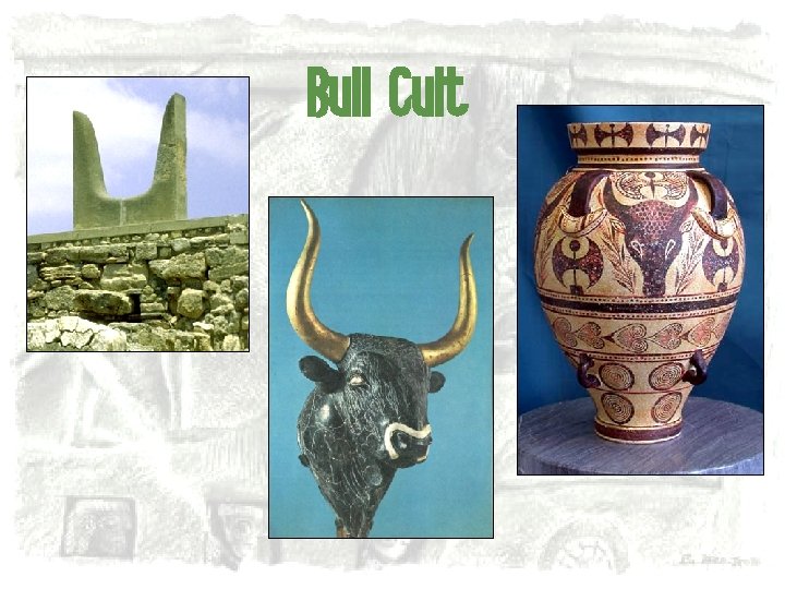 Bull Cult 