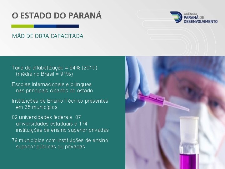 O ESTADO DO PARANÁ MÃO DE OBRA CAPACITADA Taxa de alfabetização = 94% (2010)