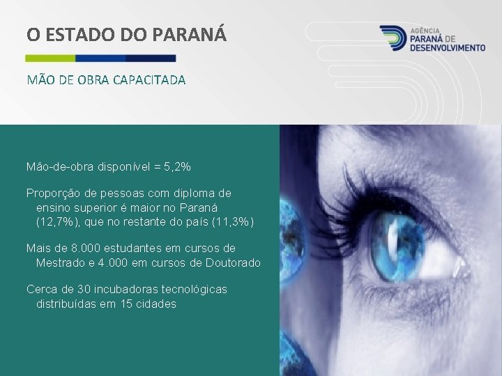 O ESTADO DO PARANÁ MÃO DE OBRA CAPACITADA Mão-de-obra disponível = 5, 2% Proporção