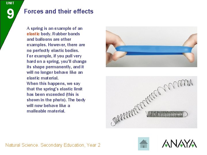 UNIT 9 Forces and their effects A spring is an example of an elastic