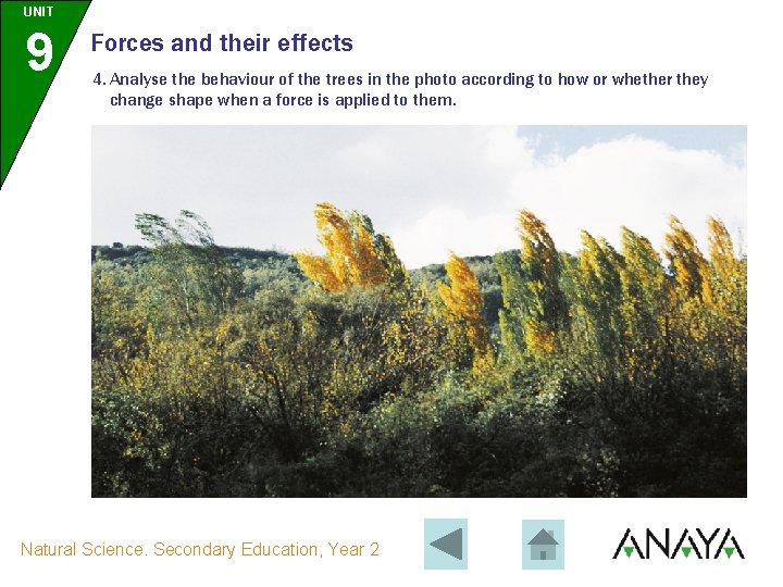 UNIT 9 Forces and their effects 4. Analyse the behaviour of the trees in