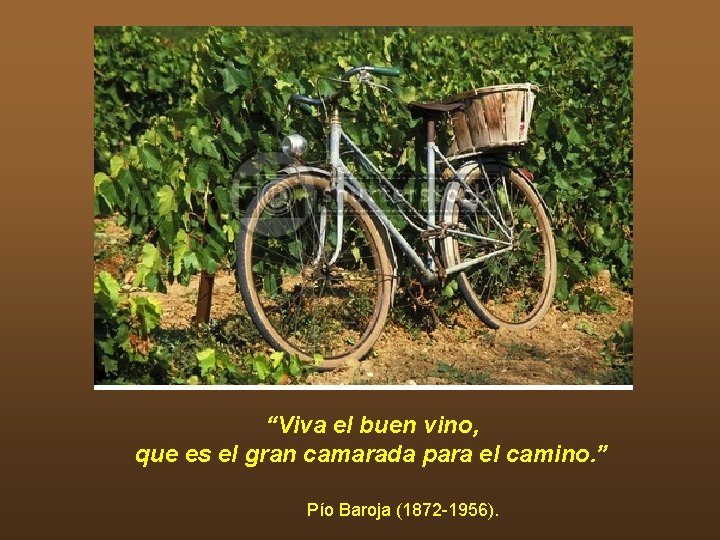 “Viva el buen vino, que es el gran camarada para el camino. ” Pío “Viva el buen vino, que es el gran camarada para el camino. ” Pío
