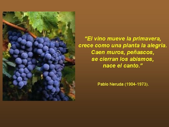 “El vino mueve la primavera, crece como una planta la alegría. Caen muros, peñascos, “El vino mueve la primavera, crece como una planta la alegría. Caen muros, peñascos,
