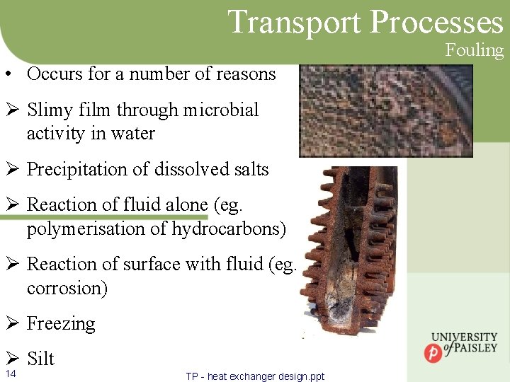 Transport Processes Fouling • Occurs for a number of reasons Ø Slimy film through