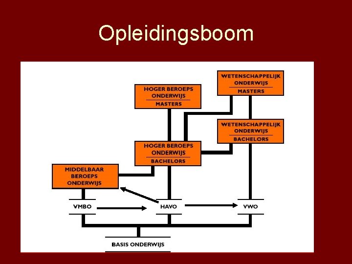 Opleidingsboom 