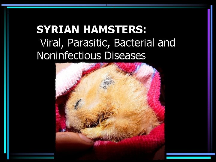 SYRIAN HAMSTERS: Viral, Parasitic, Bacterial and Noninfectious Diseases 