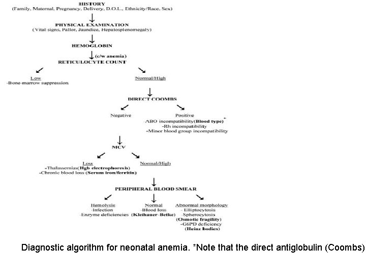 Diagnostic algorithm for neonatal anemia. *Note that the direct antiglobulin (Coombs) 