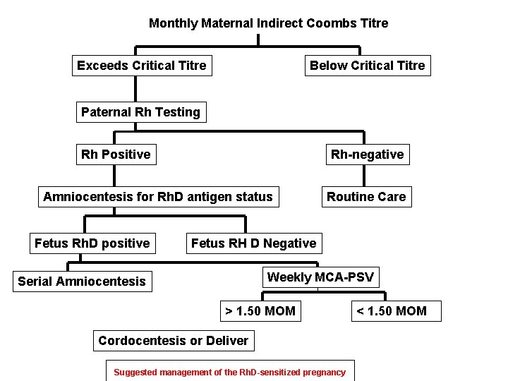 Monthly Maternal Indirect Coombs Titre Exceeds Critical Titre Below Critical Titre Paternal Rh Testing