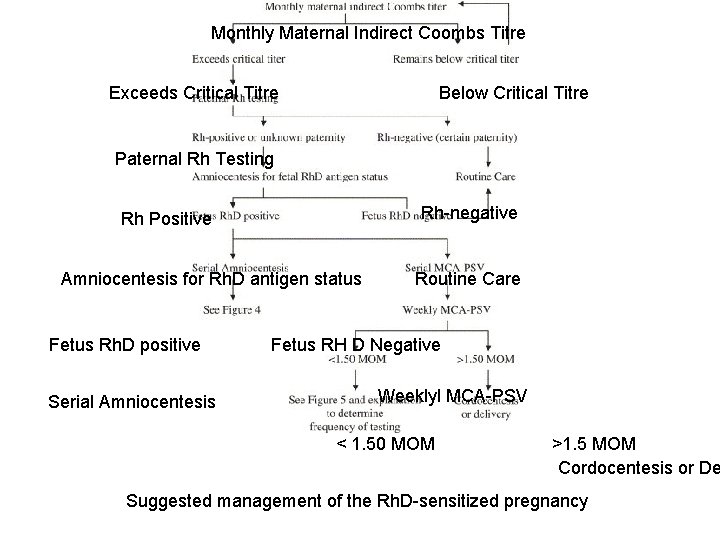 Monthly Maternal Indirect Coombs Titre Exceeds Critical Titre Below Critical Titre Paternal Rh Testing