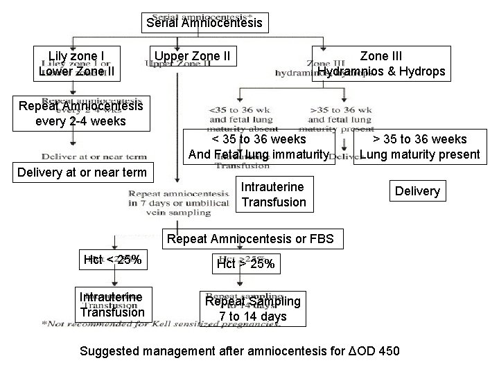Serial Amniocentesis Lily zone I Lower Zone II Upper Zone III Hydramnios & Hydrops