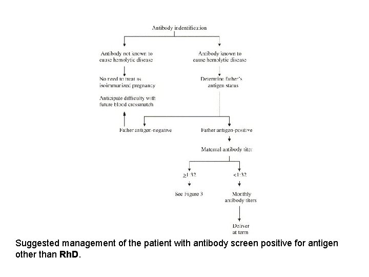Suggested management of the patient with antibody screen positive for antigen other than Rh.