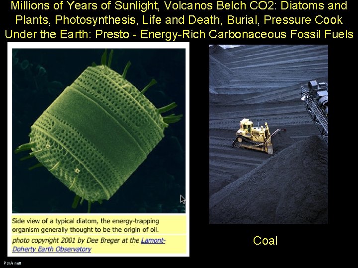 Millions of Years of Sunlight, Volcanos Belch CO 2: Diatoms and Plants, Photosynthesis, Life Millions of Years of Sunlight, Volcanos Belch CO 2: Diatoms and Plants, Photosynthesis, Life