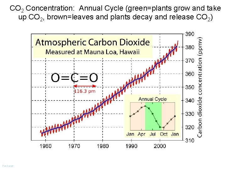 CO 2 Concentration: Annual Cycle (green=plants grow and take up CO 2, brown=leaves and CO 2 Concentration: Annual Cycle (green=plants grow and take up CO 2, brown=leaves and