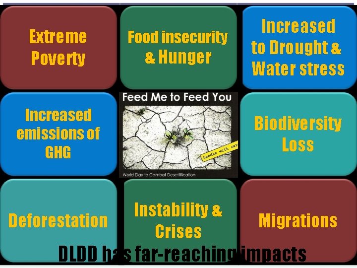 Extreme Poverty Food insecurity & Hunger Increased emissions of GHG Deforestation Increased to Drought