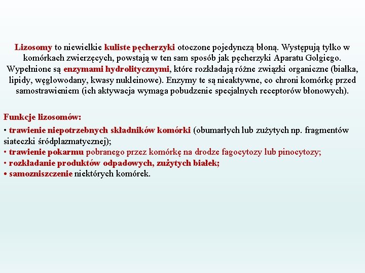 Lizosomy to niewielkie kuliste pęcherzyki otoczone pojedynczą błoną. Występują tylko w komórkach zwierzęcych, powstają