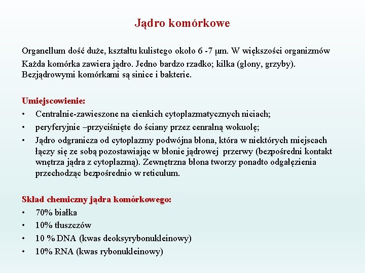 Jądro komórkowe Organellum dość duże, kształtu kulistego około 6 -7 μm. W większości organizmów