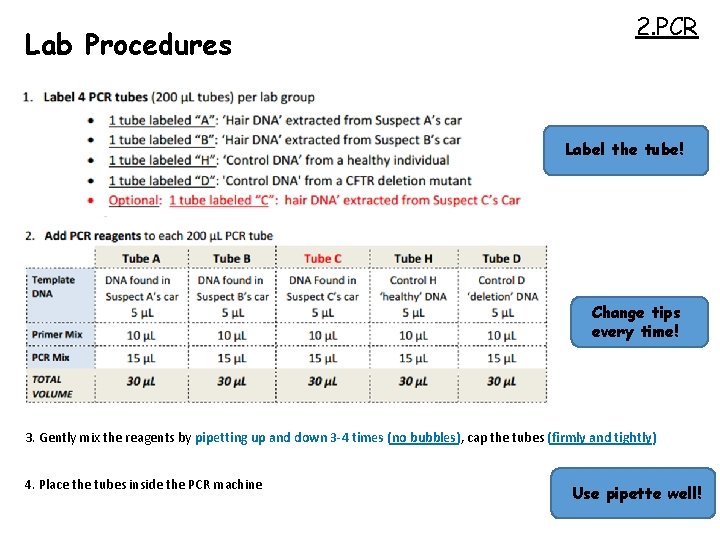 Lab Procedures 2. PCR Label the tube! Change tips every time! 3. Gently mix