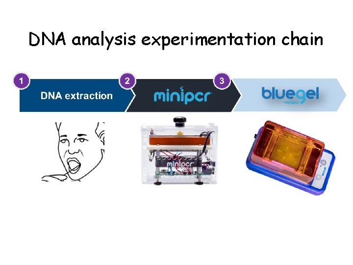 DNA analysis experimentation chain 
