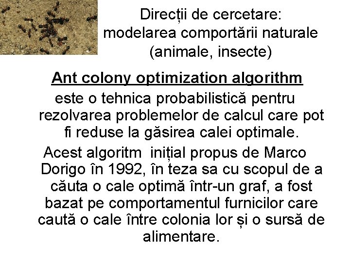 Direcții de cercetare: modelarea comportării naturale (animale, insecte) Ant colony optimization algorithm este o