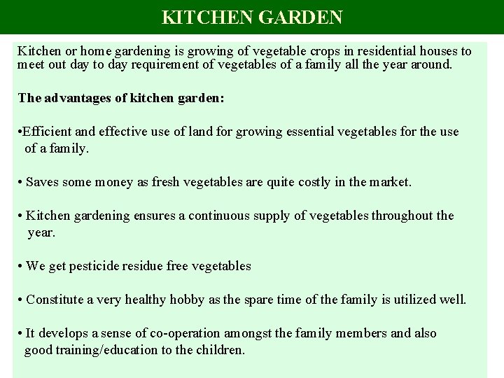 KITCHEN GARDEN Kitchen or home gardening is growing of vegetable crops in residential houses