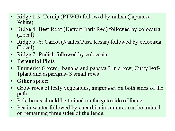  • Ridge 1 -3: Turnip (PTWG) followed by radish (Japanese White) • Ridge