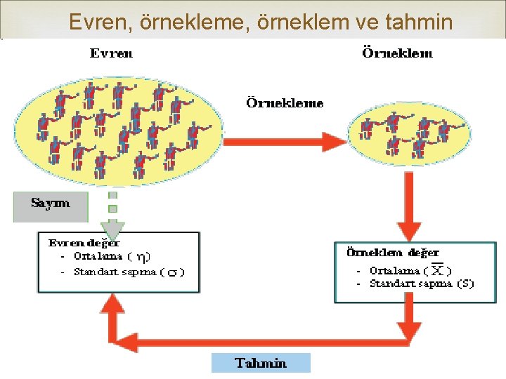 Evren, örnekleme, örneklem ve tahmin 