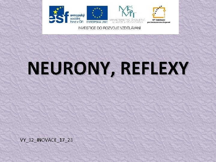 NEURONY, REFLEXY VY_32_INOVACE_17_23 