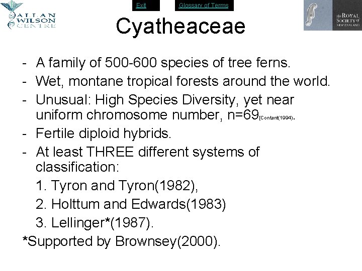 Exit Glossary of Terms Cyatheaceae - A family of 500 -600 species of tree